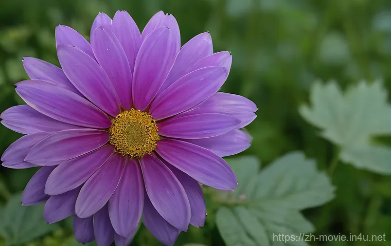 영화 업계 네트워킹 전략 관련 이미지 1